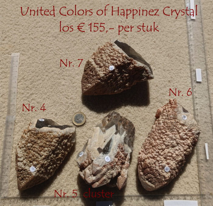 United Colors of Happinez Crystal - Afbeelding 12