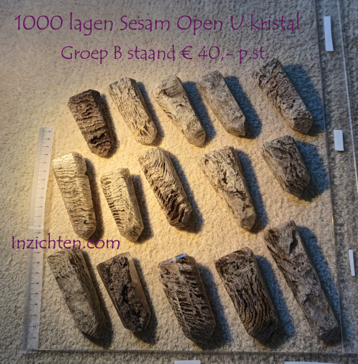 1000 lagen Sesam Open U Kristal - Afbeelding 5