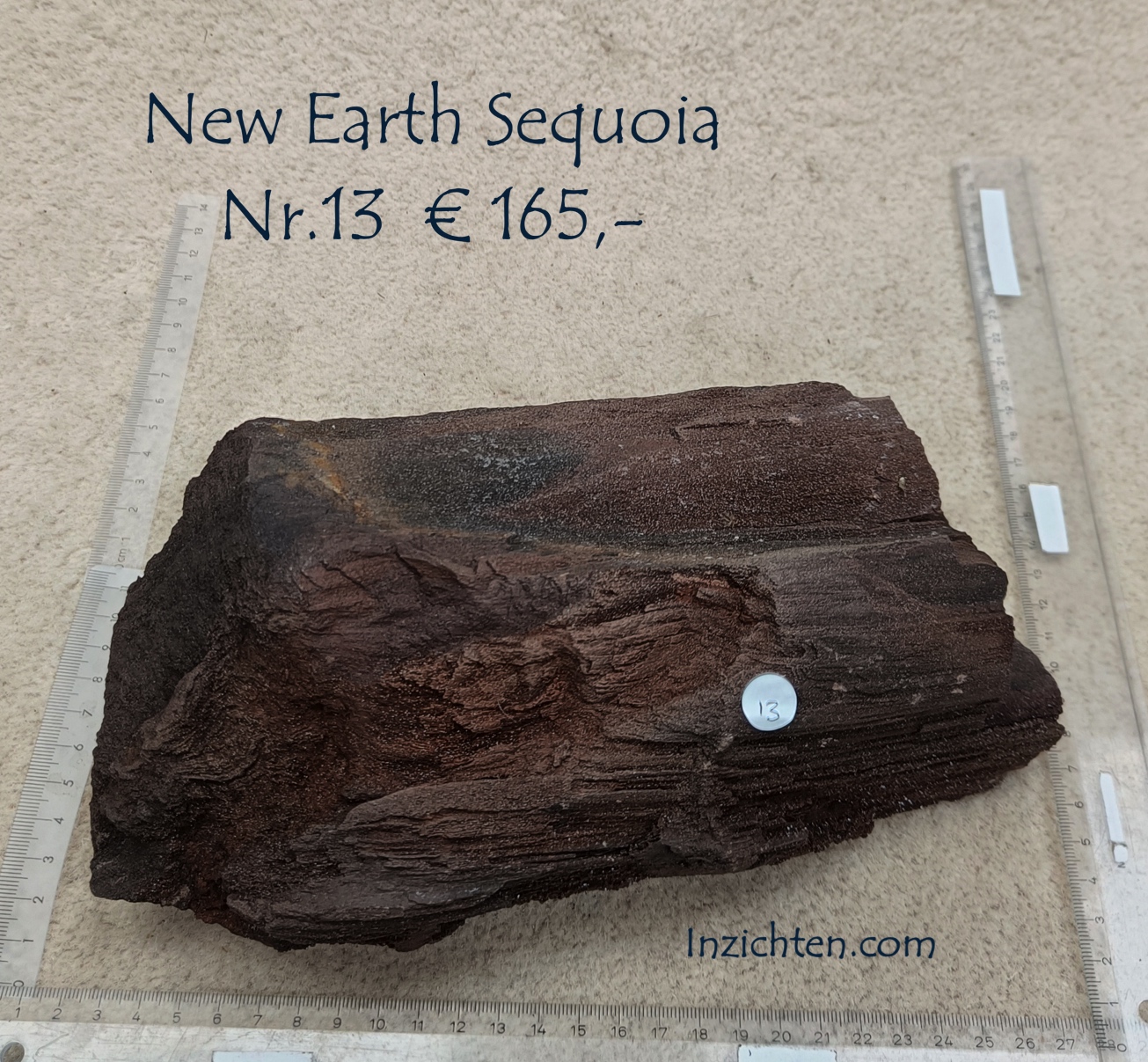 New Earth Sequoia - Afbeelding 21