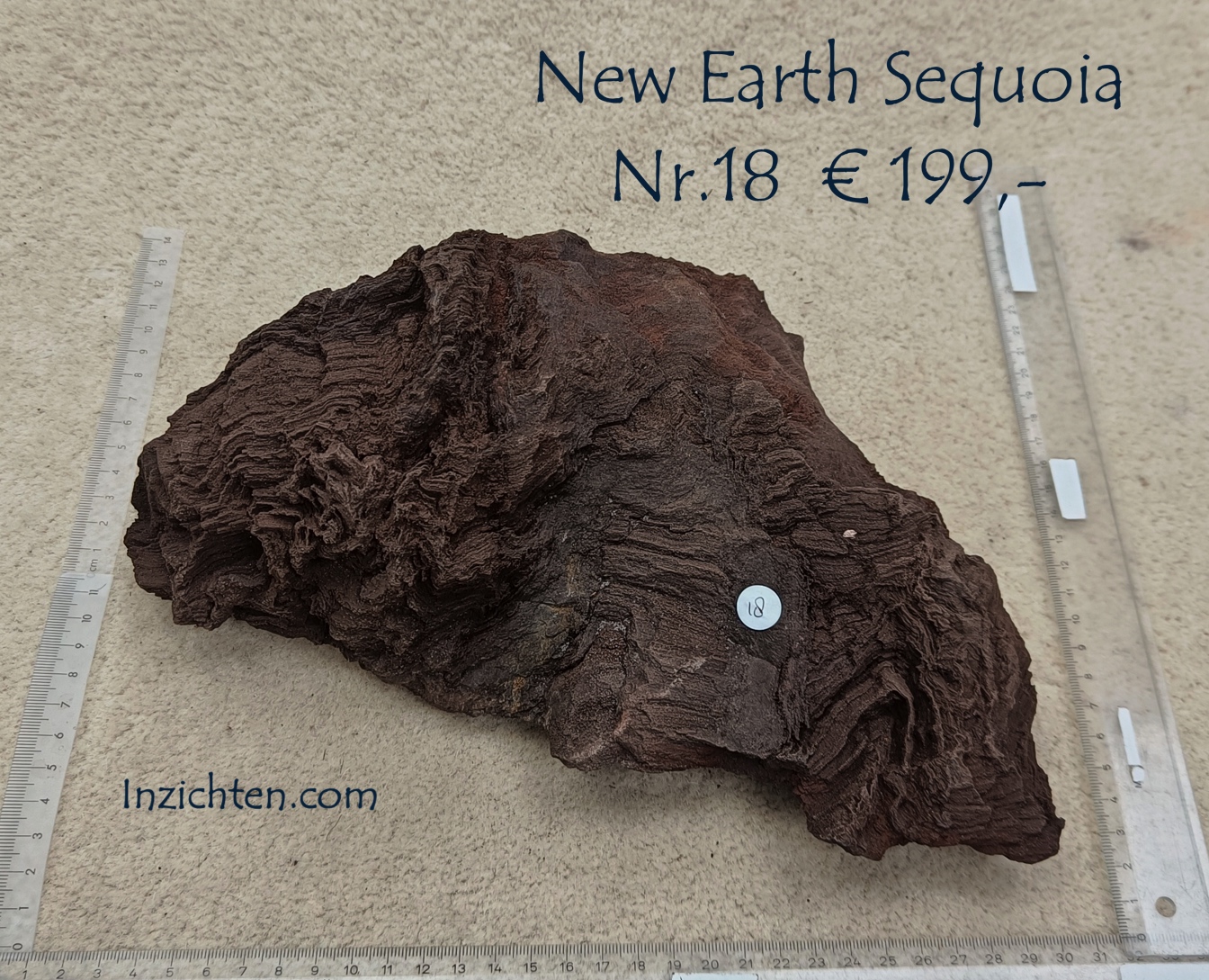 New Earth Sequoia - Afbeelding 26