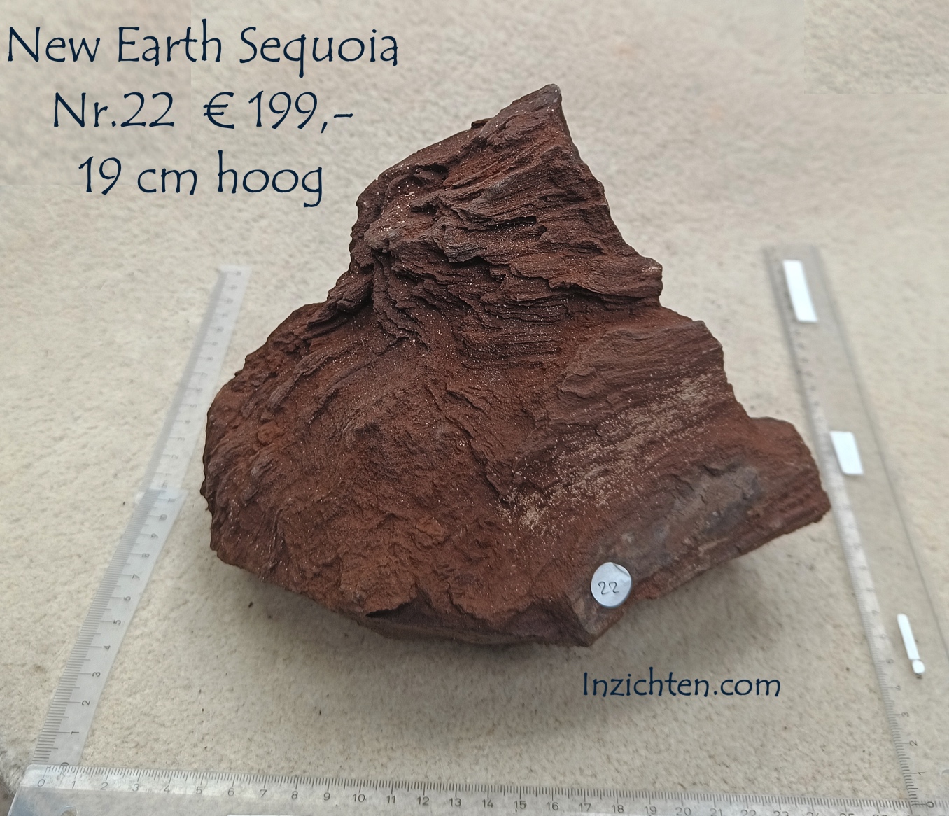 New Earth Sequoia - Afbeelding 30