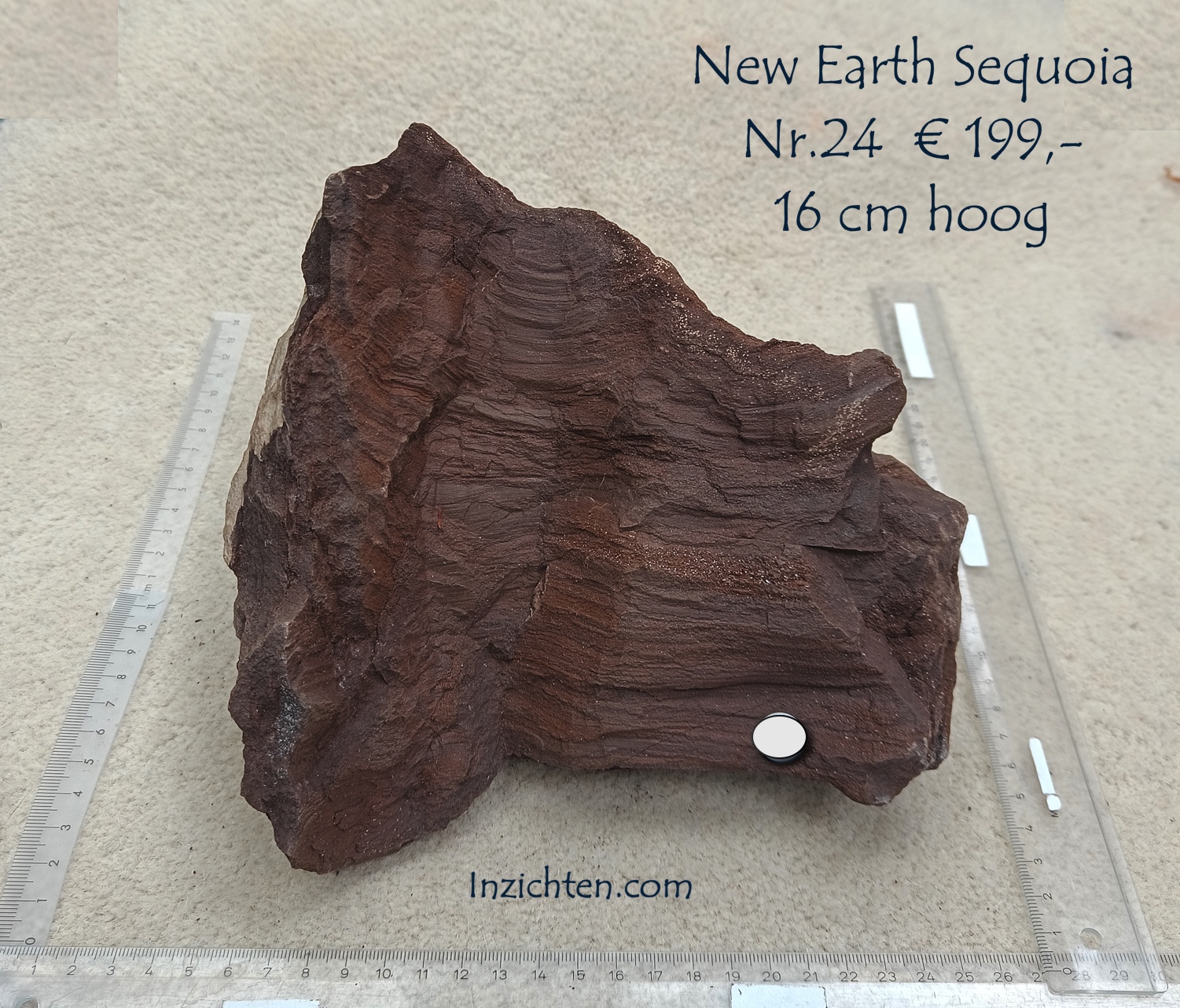 New Earth Sequoia - Afbeelding 32