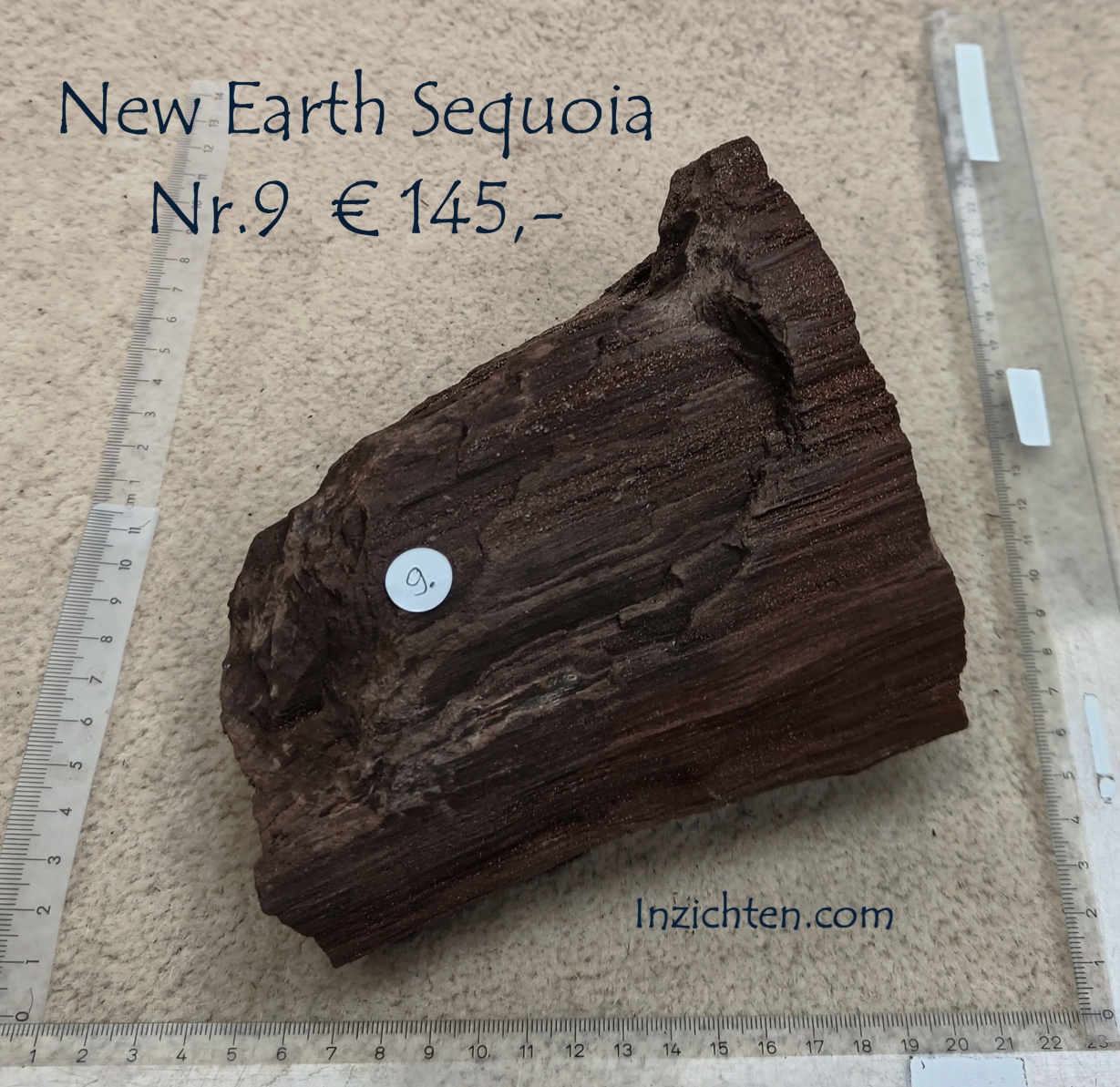 New Earth Sequoia - Afbeelding 16